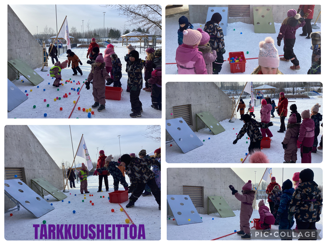 Tarkkuusheittoa
