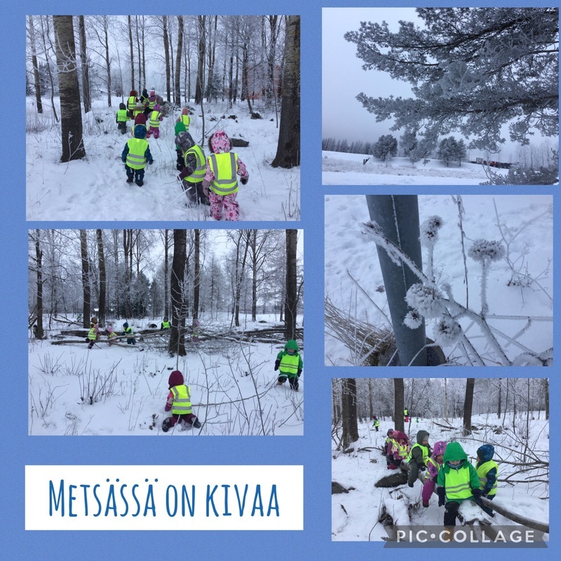 36FEE659-6964-4CAA-92E5-9CBA2AB4BEAA.jpeg Lapsia lumisessa metsässä