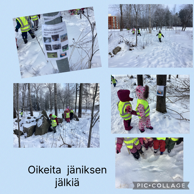 Lapsia metsässä etsimässä eläinten kuvia.