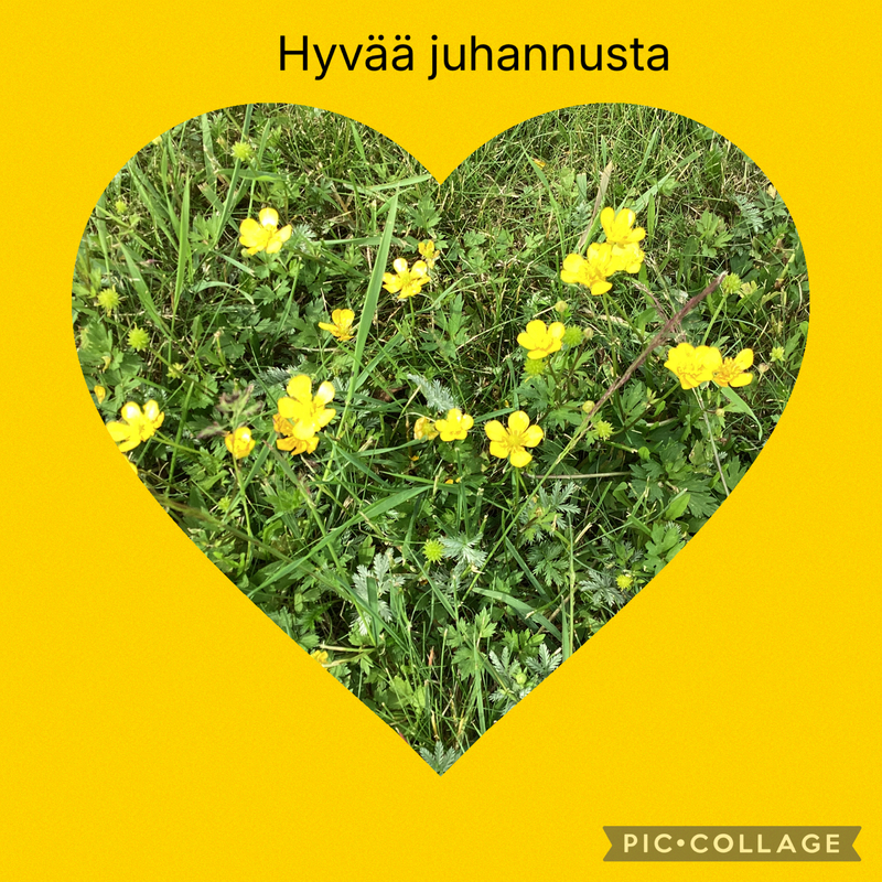 Kesäkukkia