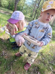 Suurennuslasilla tutkittiin erilaisia lehtiä.
