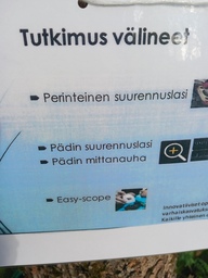 Tehtävä: tutki suurennuslasilla mm. Lehtiä
