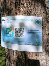 QR-Koodin takaa löytyi tarina haaveilija hiirestä