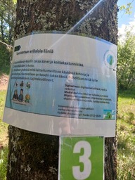 Tehtävä; tunnistaa äänet ja yhdistä oikeisiin kuviin QR-koodit.