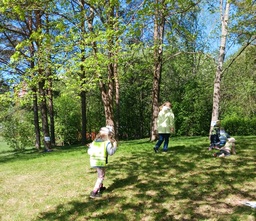 Lintuja