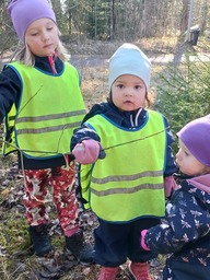 Kevään merkki: puissa hiiren korvia