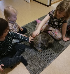 Hoitokoira sai paljon hellyyttä lapsilta🥰