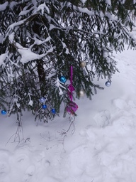 Kuusesta tuli nätti joulupalloineen.