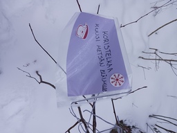 Lapset löysivät polulta vielä viimeisen tehtävän, jossa pyydettiin koristelemaan kuusi metsän eläimille.