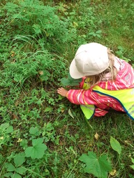 Metsästä etsitään maalaamiseen tarvikkeita millä maalia voi levittää.