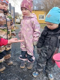 Kevään merkkeinä kastemato löytyi hiekkalaatikosta.