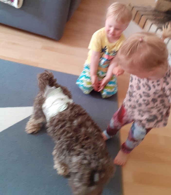 Koira toi paljon iloa lapsille.