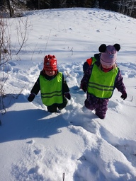 Pajunkissoja etsimässä.
