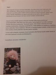 Toisena päivänäkin löytyi kirje metsämörriltä.