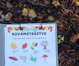 Kuvametsästys... syksyisiä asioita metsästä etsien.