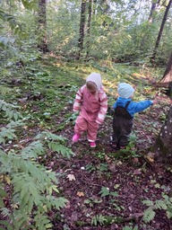 Ihmettelimme erilaisia lehtiä, oksia ym...metsässä sekä metsän äänet olivat mielenkiintoisia.