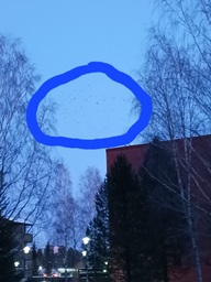 Ihmeteltiin lintujen paljoutta taivaalla.