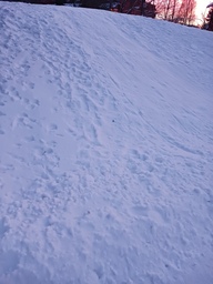 Mäessä paljon lasten jälkiä.