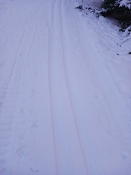 Tutkimusmatkalla oli hiihtolatulatu.