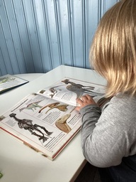 lapsia lukemassa dinosauruskirjoja