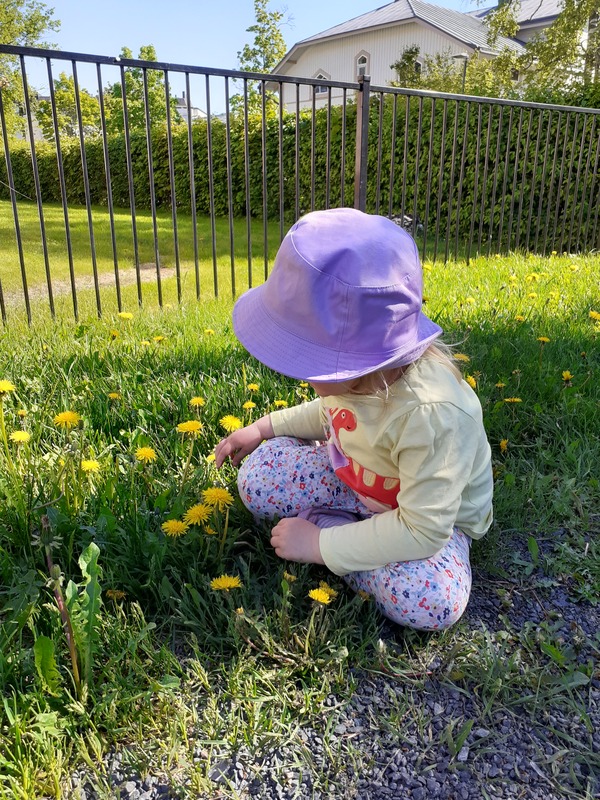 Lapsi katselee kesän kukkia.