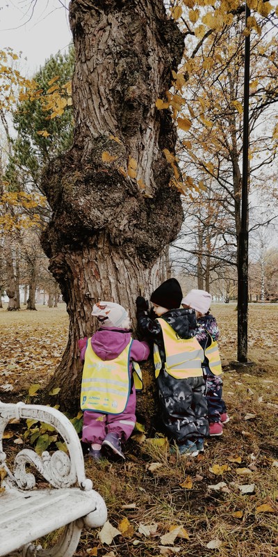 Lapset halaavat puuta