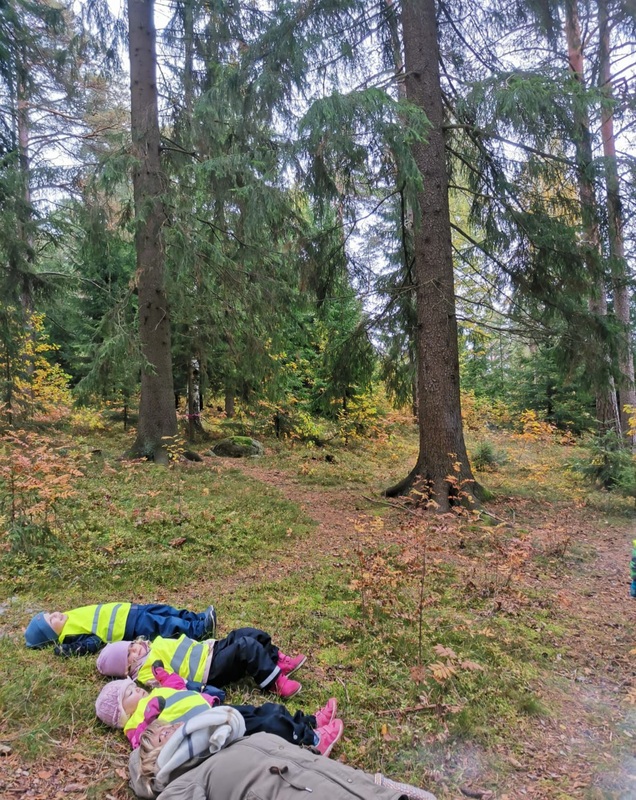 Puiden latvoja hämmästelemässä.