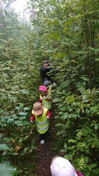 Lapset kulkevat tuuheaa polkua metsässä.