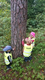 Lapset kokeilevat miltä puunrunko tuntuu.
