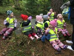 Lapset syövät pientä evästä metsässä.