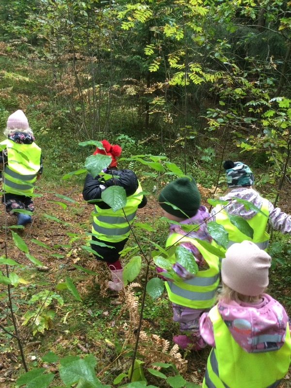 Lapset kulkevat tiheää metsäpolkua eteenpäin.