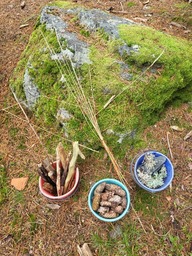 Metsästä kerättyjä keppejä, kiviä ja käpyjä ämpärissä.