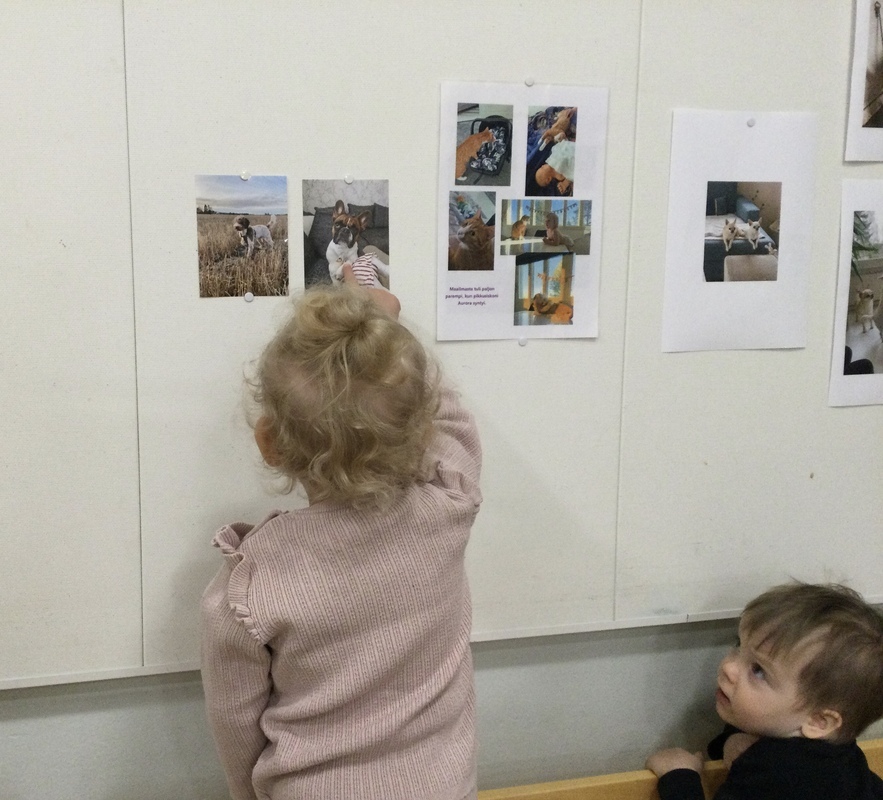 Lapsi katselee lemmikkikoiransa kuvaa.