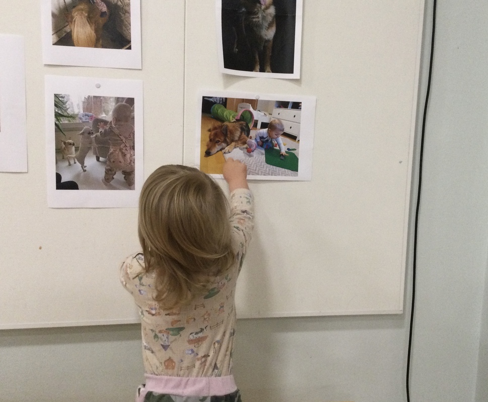 Lapsi katselee lemmikkikoiransa kuvaa.