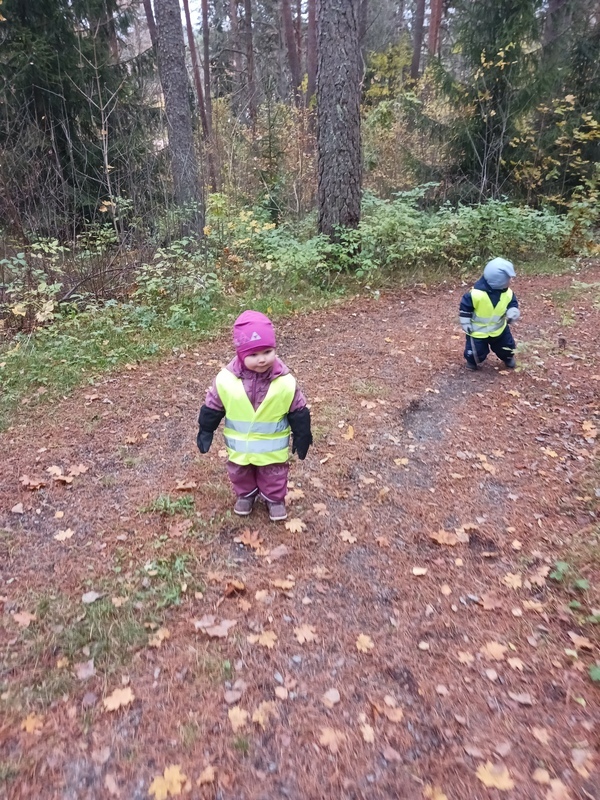 Lapset kävelevät metsäpolkua.