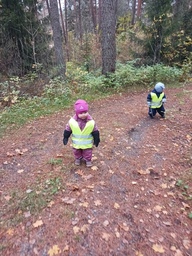 Lapset kävelevät metsäpolkua.