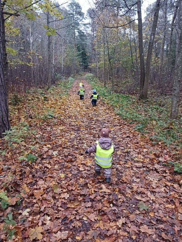 Lapset kävelevät metsäpolkua.