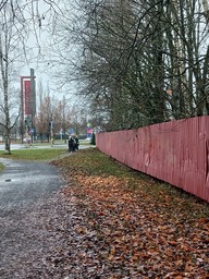 Aikuiset työntävät lapsia rattaissa.