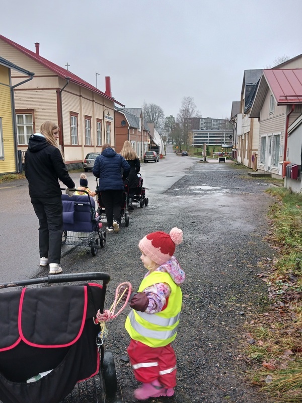 Aikuiset työntävät lapsia rattaissa.
