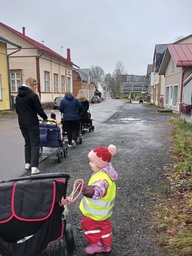 Aikuiset työntävät lapsia rattaissa.