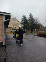 Aikuiset työntävät lapsia rattaissa.