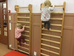 Lapset kiipeilevät puolapuilla.