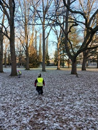 Lapsi kävelee syksyisessä puistossa.