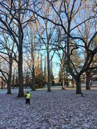 Lapsi kävelee syksyisessä puistossa.