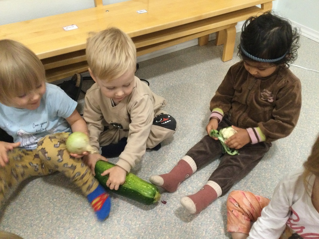 Lapset katsovat kasviksi aamupiirillä.