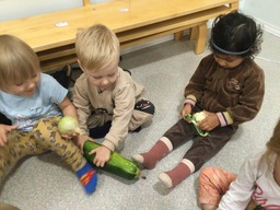 Lapset katsovat kasviksi aamupiirillä.