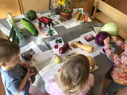 Lapset tutkivat oikeita kasviksia salissa.