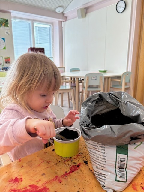 Lapsi laittaa multaa viilikippoon.