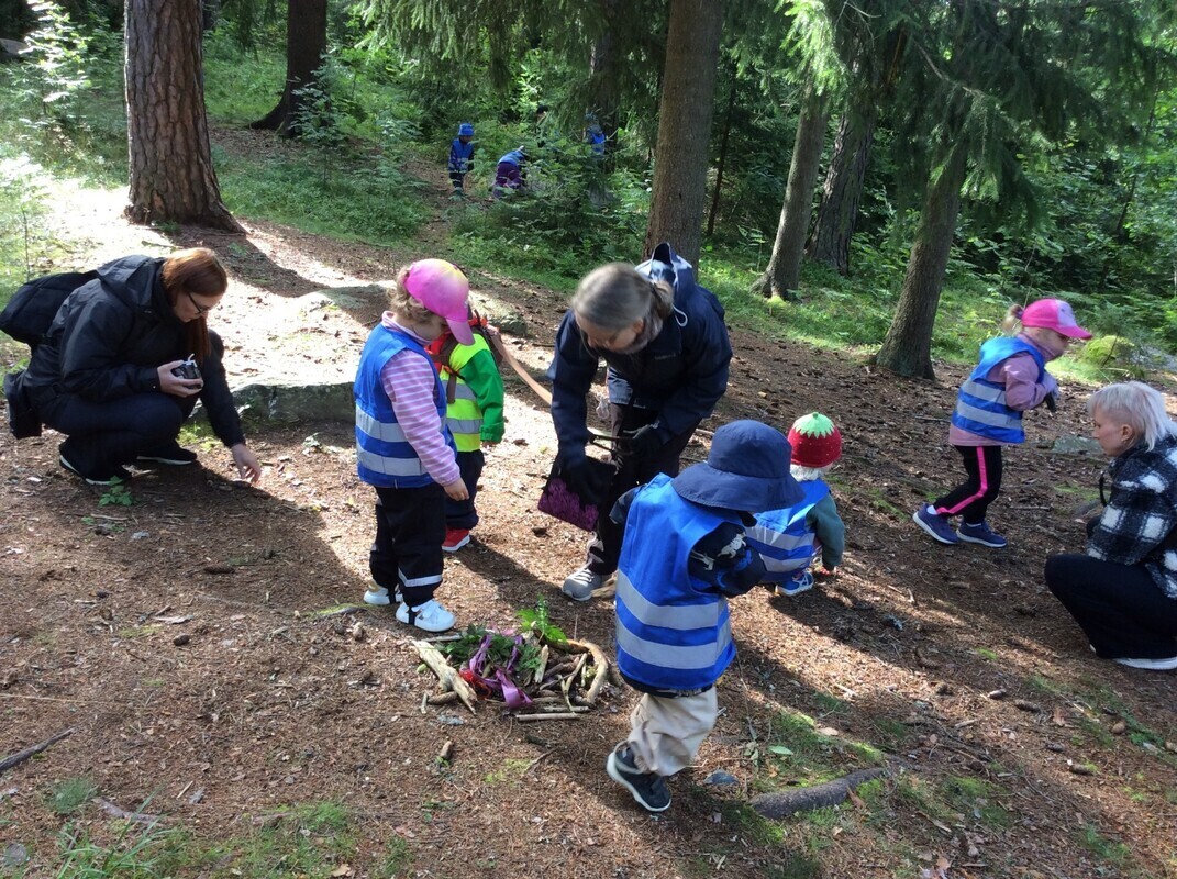 Metsäretkellä Käpyjen etsintää metsäretkellä