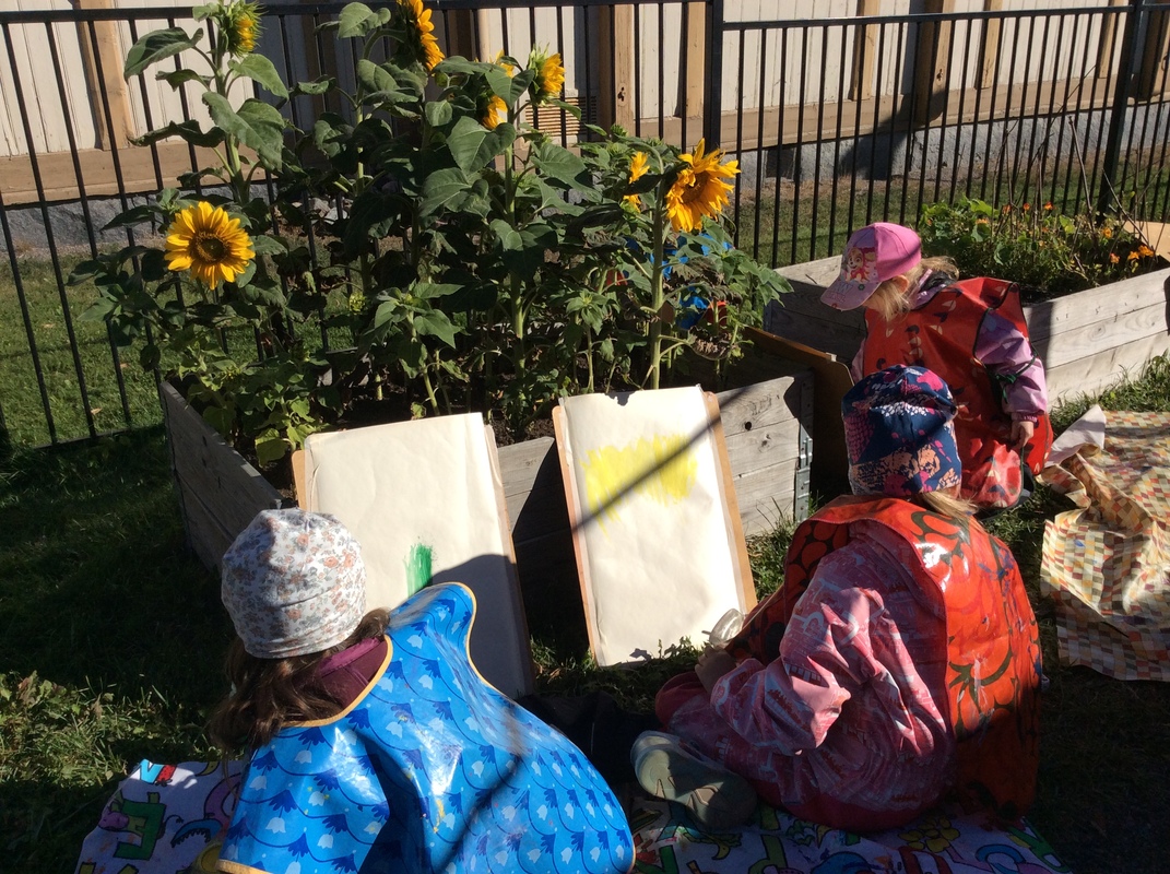 Aurngonkukkia kylvölaatikossa ja lapset taiteilijoina